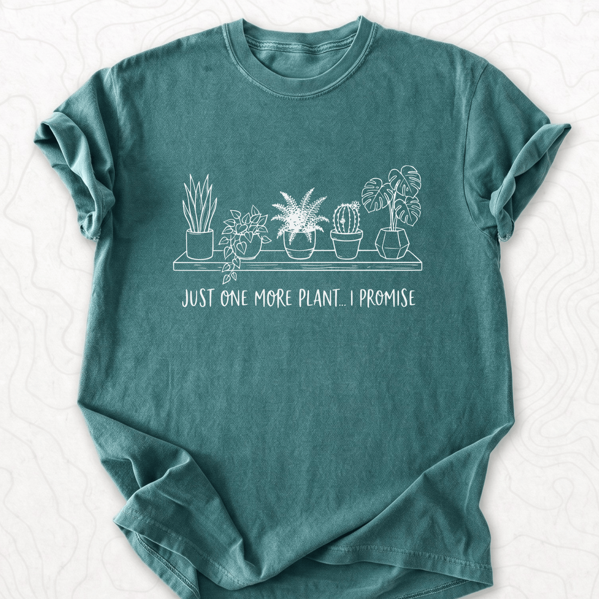 blue spruce