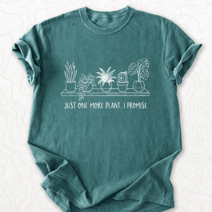 blue spruce