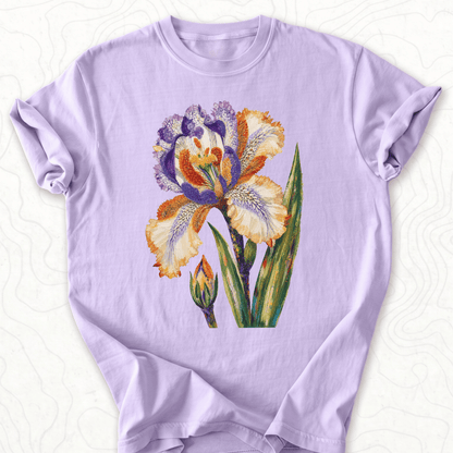 orchid