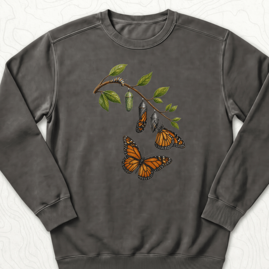Monarch Metamorphosis Sweatshirt - Pepper