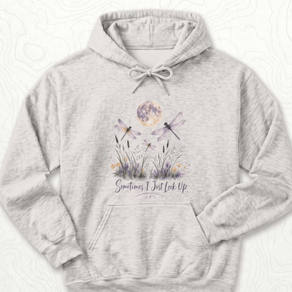 Sometimes Look Up Hoodie - Ash