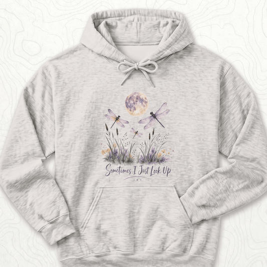 Sometimes Look Up Hoodie - Ash