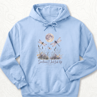 Sometimes Look Up Hoodie - Light Blue