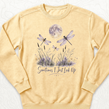 Sometimes Look Up Sweatshirt - Butter